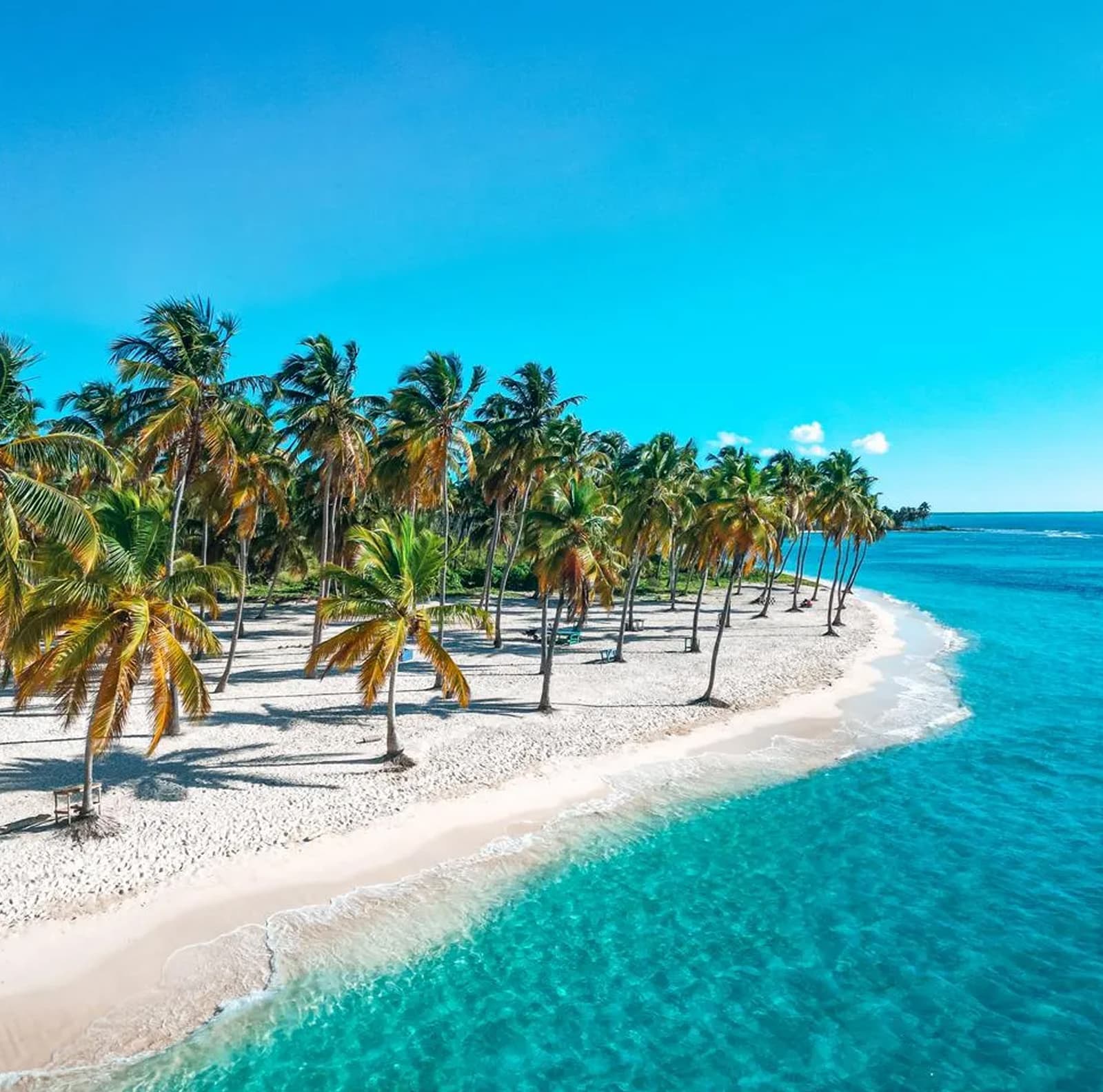 SAONA Isla